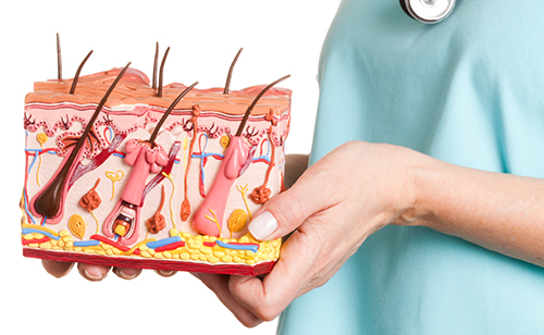 Common Dermatological Conditions